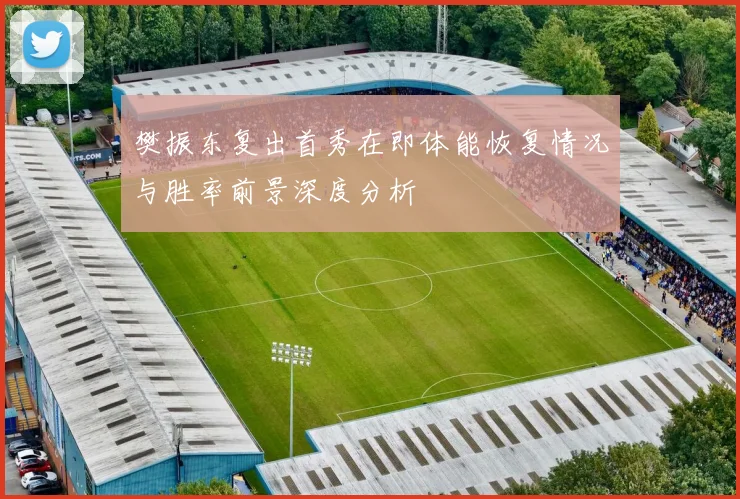 樊振东复出首秀在即体能恢复情况与胜率前景深度分析